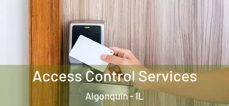 Access Control Services Algonquin - IL