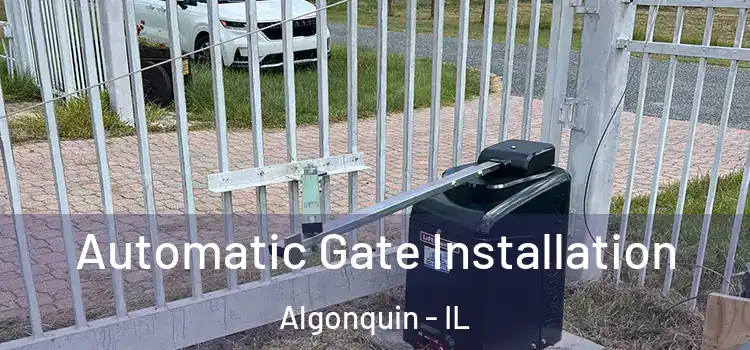 Automatic Gate Installation Algonquin - IL