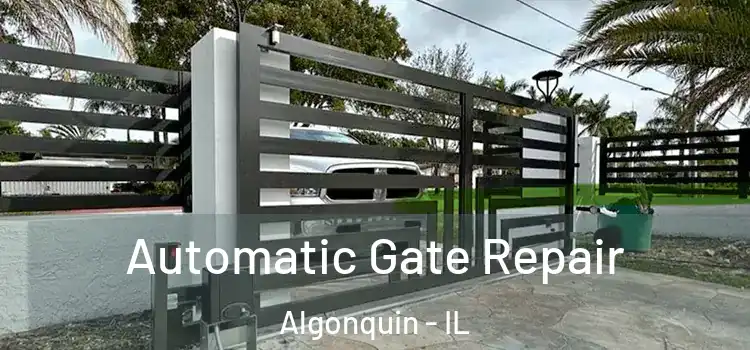 Automatic Gate Repair Algonquin - IL