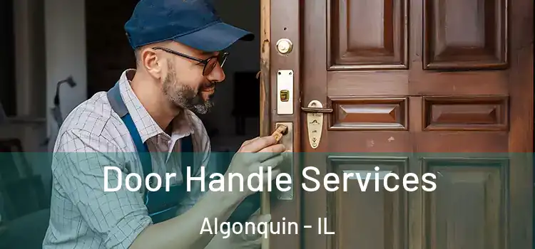 Door Handle Services Algonquin - IL