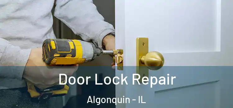 Door Lock Repair Algonquin - IL