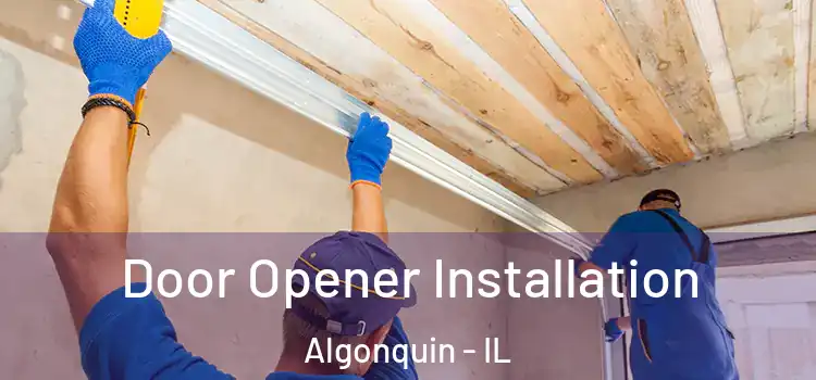 Door Opener Installation Algonquin - IL