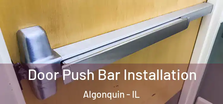 Door Push Bar Installation Algonquin - IL