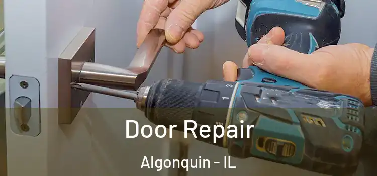 Door Repair Algonquin - IL