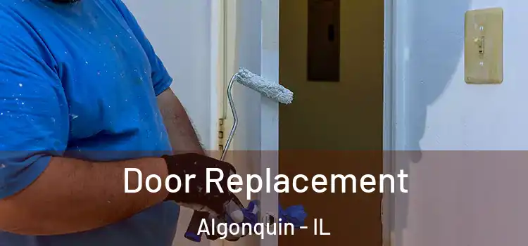 Door Replacement Algonquin - IL
