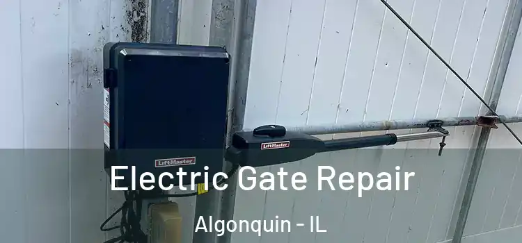 Electric Gate Repair Algonquin - IL