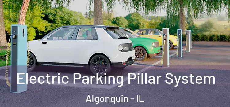 Electric Parking Pillar System Algonquin - IL