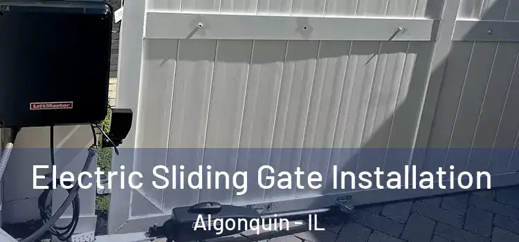 Electric Sliding Gate Installation Algonquin - IL
