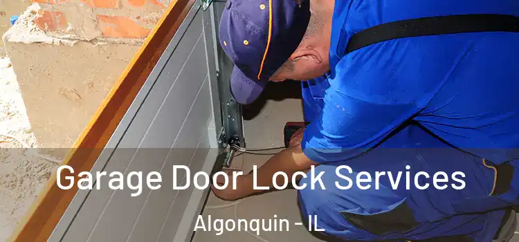 Garage Door Lock Services Algonquin - IL