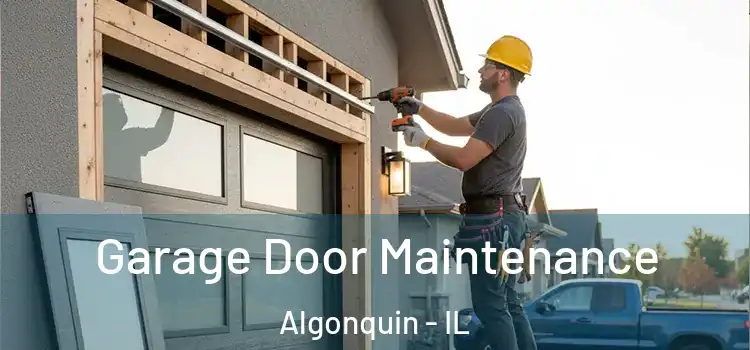 Garage Door Maintenance Algonquin - IL