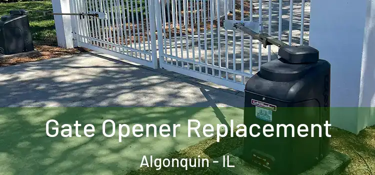 Gate Opener Replacement Algonquin - IL