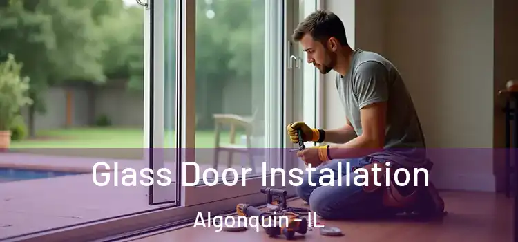 Glass Door Installation Algonquin - IL