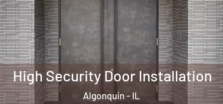 High Security Door Installation Algonquin - IL