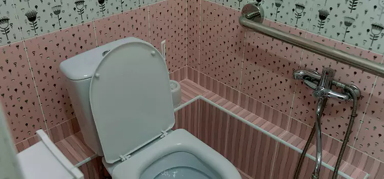 Meeting Diverse Needs With Accessible Restroom Solutions in Algonquin, IL