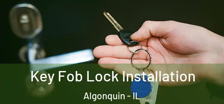 Key Fob Lock Installation Algonquin - IL