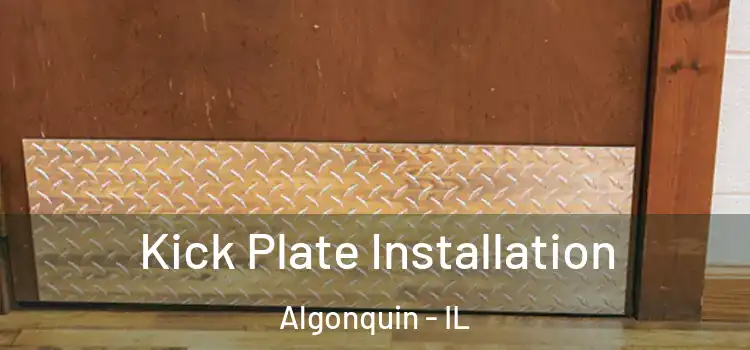 Kick Plate Installation Algonquin - IL