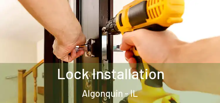 Lock Installation Algonquin - IL