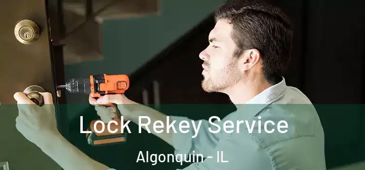 Lock Rekey Service Algonquin - IL