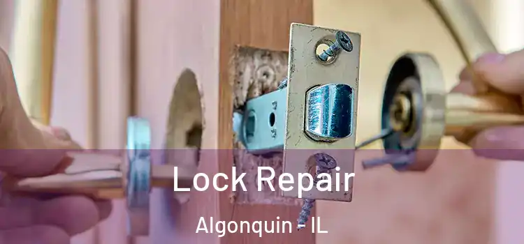 Lock Repair Algonquin - IL