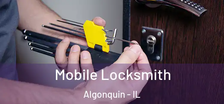 Mobile Locksmith Algonquin - IL