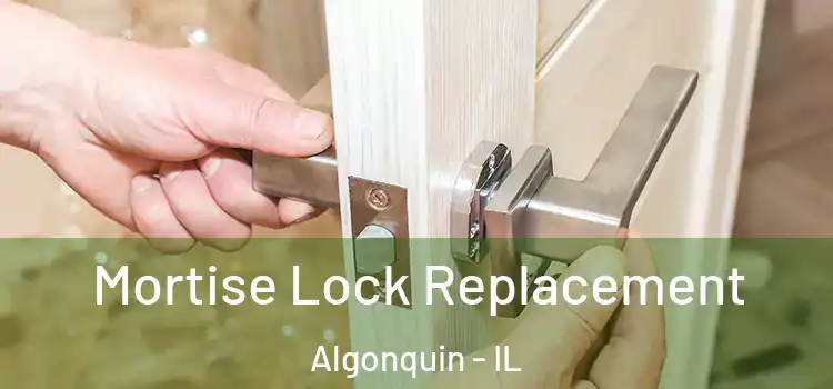 Mortise Lock Replacement Algonquin - IL
