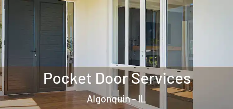 Pocket Door Services Algonquin - IL