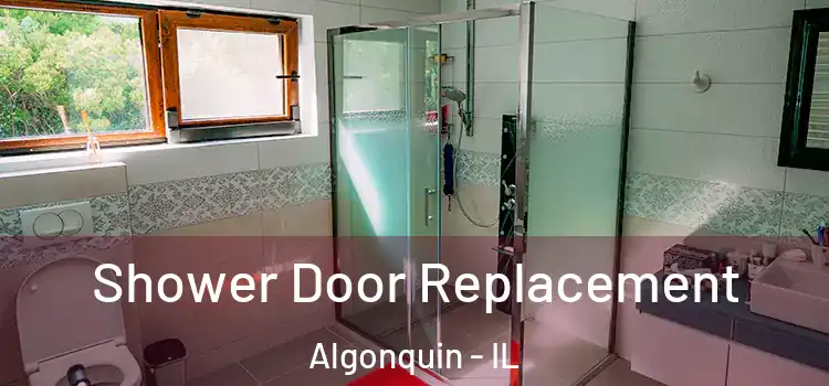 Shower Door Replacement Algonquin - IL