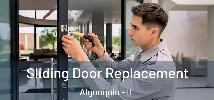Sliding Door Replacement Algonquin - IL